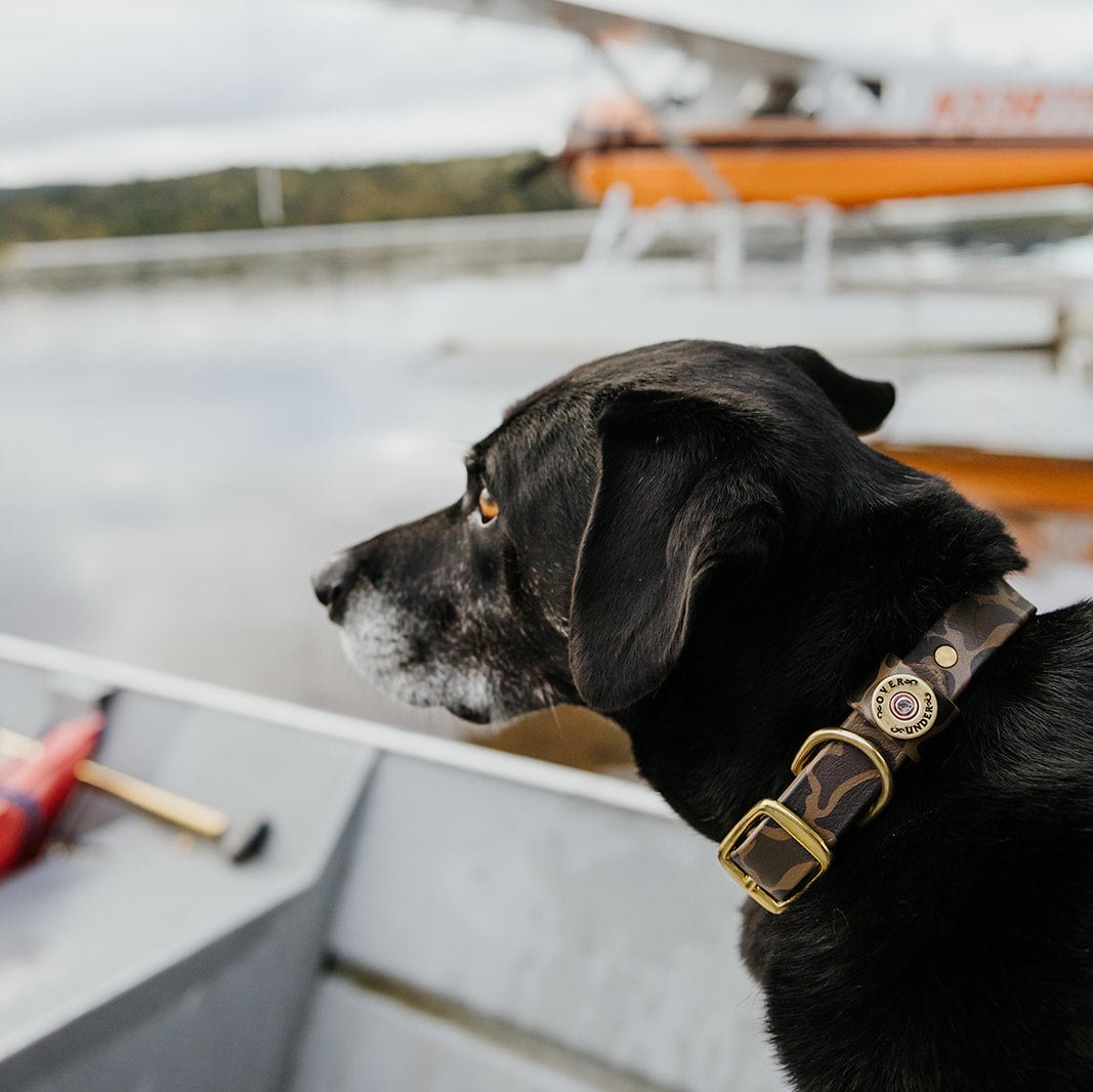 Water Dog Collar Duck Camo