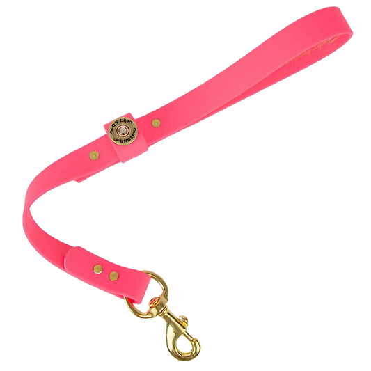 Water Dog Traffic Lead Pink