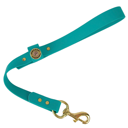 Water Dog Traffic Lead Teal